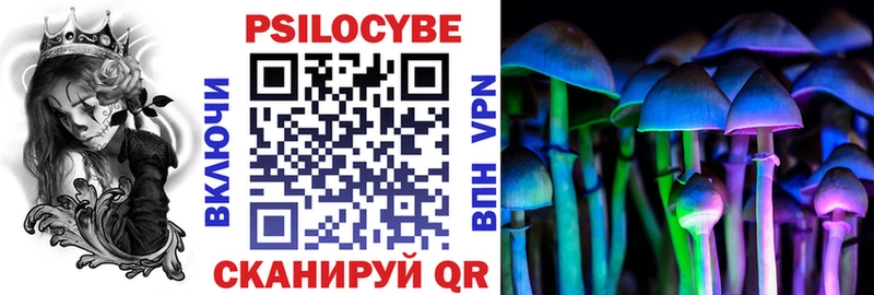 Галлюциногенные грибы Psilocybe Бабушкин